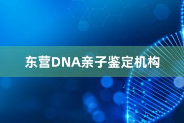 东营DNA亲子鉴定机构